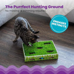 Catstages Grass Patch Hunting Box - Image 4