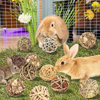 Bunny Chew Grass Balls, Rolling Chew Toys - Image 3