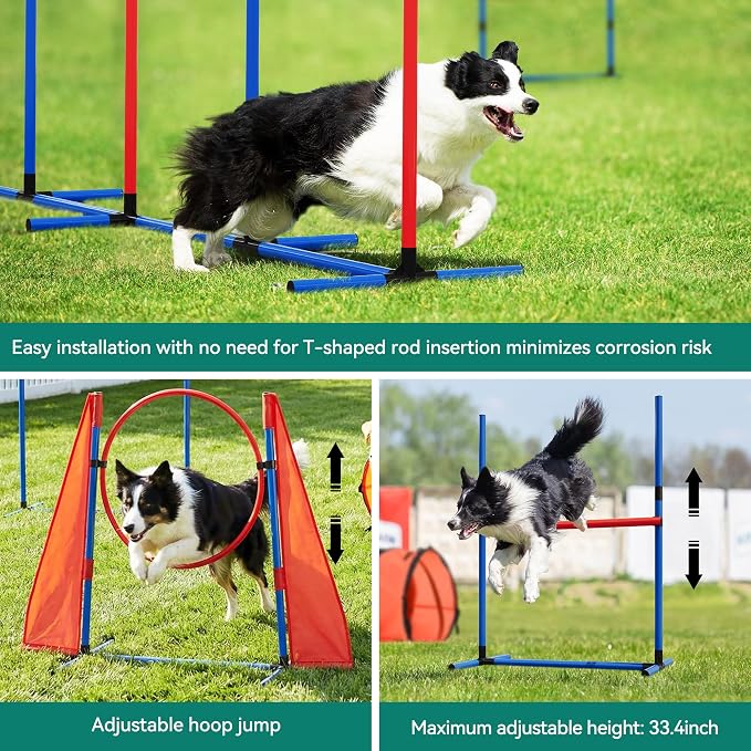 YITAHOME Dog Agility Training Equipment Set - Image 5