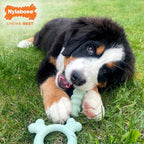 Nylabone Sensory Material Soothing Puppy Chew Toy Ring, Toys - Image 3