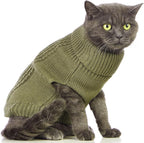 Stretchy Cat Sweater - Image 4