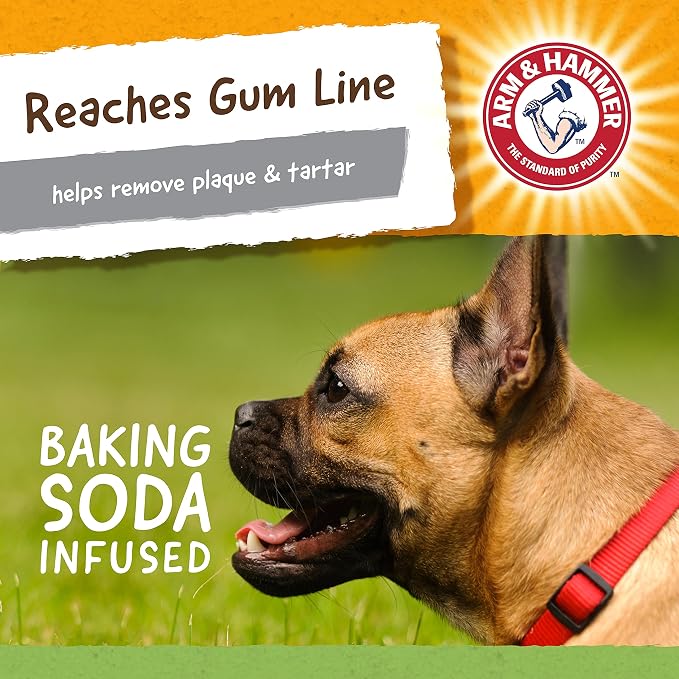 Arm & Hammer for Pets Nubbies Dental Toys T-Rex Dental Chew Toy for Dogs Best - Image 4