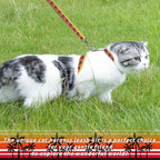 Cat Harness and Leash Set, Adjustable Kitten Harness Escape Proof Cats Harness - Image 2