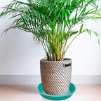 6 Pack of 12 inch Plant Saucer, Heavy Duty Plastic Plant Saucer 12" Round - Image 3