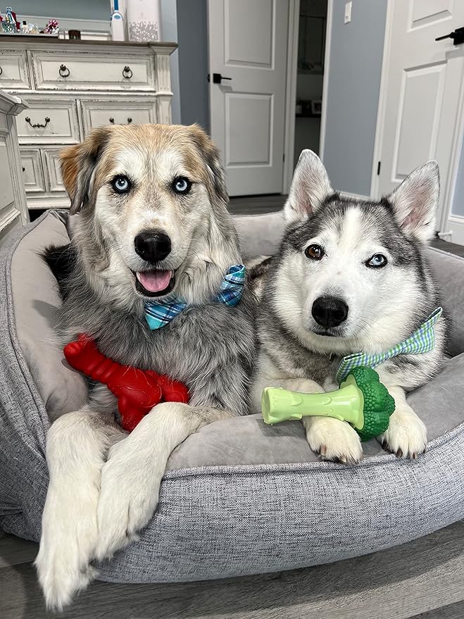 Nylabone Power Chew Toy Bundle, Cute Dog Toys - Image 7