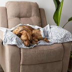 Bone Dry Embossed Bone Print Pet Blanket - Image 5
