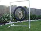 Tire Jump - Dog Agility Equipment - Image 3