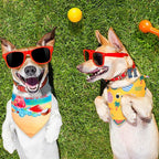 Frienda 20 Pcs Summer Spring Dog Bandanas Hawaiian Style Washable Triangle Pet - Image 4