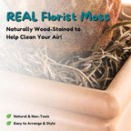 Good Pet Stuff Hidden Litter Box Planter, Decorative Cat Litter Enclosure - Image 9