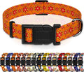 Dog Collar, Classical Indian Spirit Boys Girls Puppy Collar by Seyezo