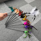 10-Pack Cat Feather Wand Toys - Image 4