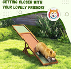 PawHut Wooden Dog Agility Seesaw - Image 5