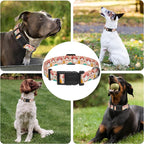 Dog Collar, Cute Cartoon Mushroom Boys Girls Puppy Collar - Image 6