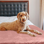 PETMAKER Dog Blanket - Image 8