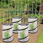 4 Pcs Pop Up Insect Barrier Plant Cover Net, 19.6" x 11.8" Round Foldable Plant - Image 5