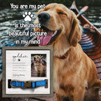 Customized Dog Collar Frame Memorial Pet Loss Sign - Image 6