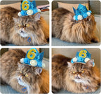 Pet Crown Hat Dog Birthday Reusable Birthday Party Crown - Image 6