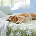 LE SURE Waterproof Dog Blanket for Large Dogs - Image 7