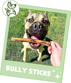 Nature Gnaws Bully Sticks for Dogs 5-6" - Image 6