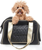 Pet Life ® 'Mystique' Fashion Designer Travel Soft-Folding Airline Apprived Pet - Image 2
