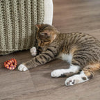 Catstages Plaque Away Pretzel Cat Toy – Interactive Catnip Dental Chew Toy to - Image 8