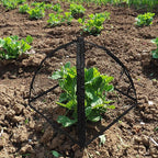 Strawberry Plant Protector, Plant Protection Tent - Image 5