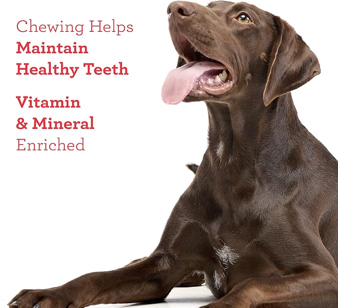DreamBone RattleBall Small Chews, Rawhide-Free Chews - Image 7
