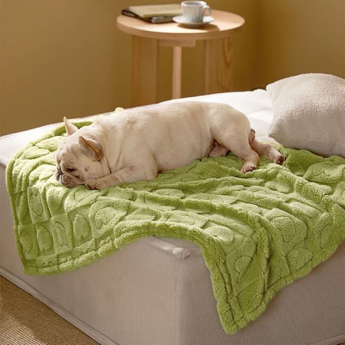 Bedsure Dog Blanket for Medium Dogs Washable by BEDSURE