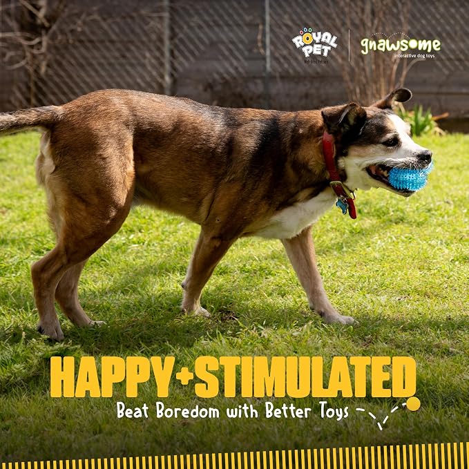 Gnawsome Dog Toys - Image 10