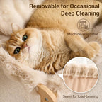 Solid Wood Cat Couch Bed for Indoor Cats, Modern Cat Sofa - Image 5