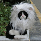 Onmygogo Lion Mane Wig for Cats and Dogs, Funny Pet Cat Costumes for Halloween - Image 4