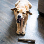 Outward Hound Pupstages Dogwood Calming Dog Chew Toy – Real-Wood Blend - Image 6