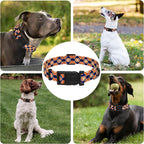 Dog Collar, Classical Indian Spirit Boys Girls Puppy Collar - Image 6