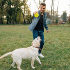 VITEVER 3.5” Squeaky Dog Toy Balls Puppy Chew Toys - Image 7