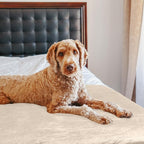 PETMAKER Dog Blanket - Image 7
