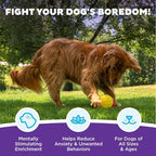 Outward Hound by Nina Ottosson Treat Tumble – Interactive Food-Dispensing Dog - Image 3