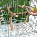 Allazone 5 PCS Natural Grape Stick Perch Swing Chewing Toys - Image 6