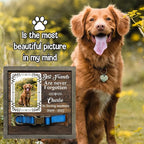 Personalized Cat Dog Memorial Picture Frame Bereavement Gifts Cat Memorial Dog - Image 6