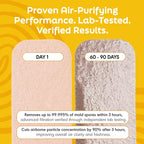 Barnakl Pet Fresh Ceiling Fan Filters - Image 6