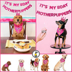 Dog Birthday Party Supplies - Image 3