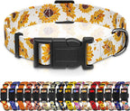 Dog Collar, Floral Boys Girls Puppy Collar by Seyezo