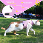 Kitty Harness and Leash for Walking Escape Proof Breathable Mesh Fabric - Image 5