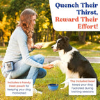 FetchFlow Dog Agility Training Equipment – Complete Backyard Agility Course Set - Image 5