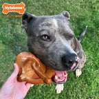 Nylabone Pretzel Power Chew Toy - Image 3