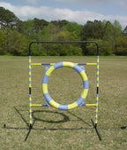 Agility Tire Jump - Image 9