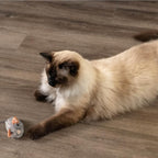 Catstages Squeak Squeak Mouse Cat Toy - Image 7