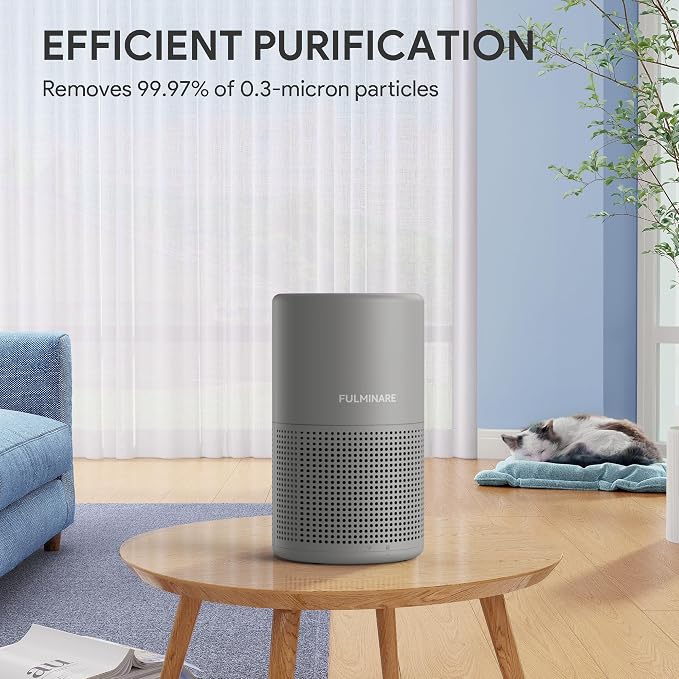 FULMINARE Air Purifiers for Home H13 True HEPA Air Filter Quiet Air Cleaner - Image 3