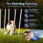 Dog Agility Course Backyard Set, Including Dog Tunnel Bags - Image 5