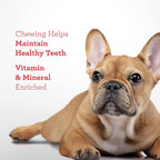 DreamBone Stuffed Twistz 10 Count, Rawhide-Free Chews - Image 3