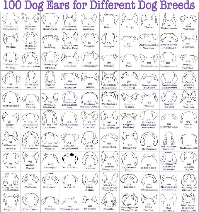 Custom Dog Mom Shirt for Women Pet Ears Sweatshirt - Image 3
